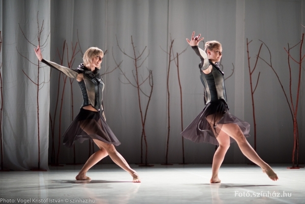 feledi lidercek_vki_3