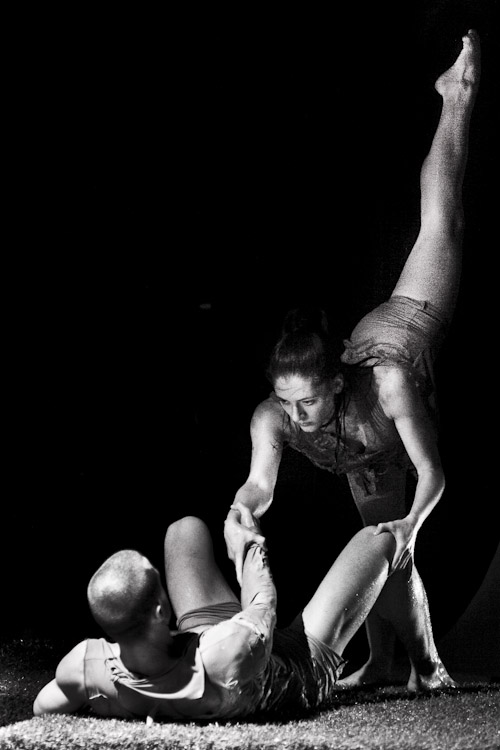 Duda Eva Tarsulat Faun foto Domolky Daniel 2