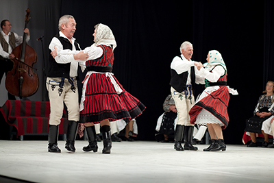  MG 8365 galamusor foto-Henning Janos