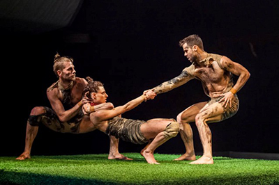 Duda Eva Tarsulat FAUN foto Domolky Daniel