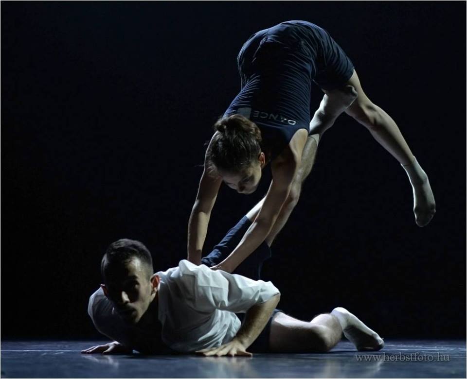 danceart zh1