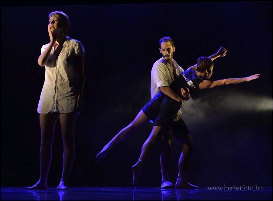 danceart zh2